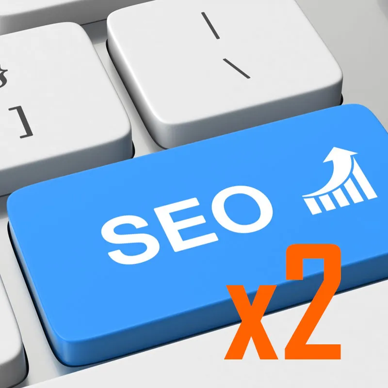 Servicio SEO x2